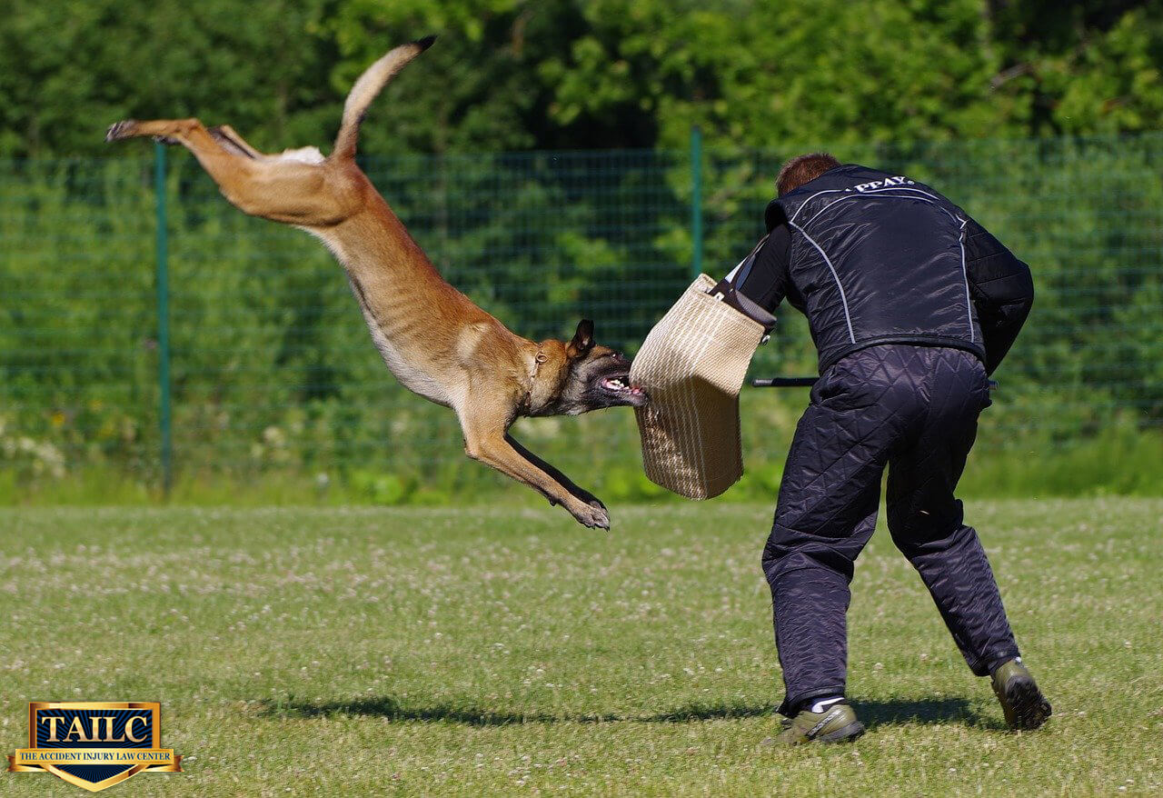 Dog Bite Laws in Orange County